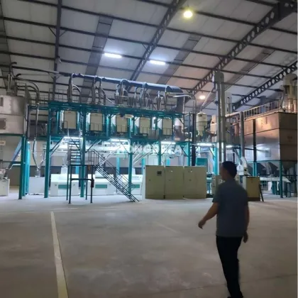 Hongdefa 100T Maize Corn Grain Processing Machinery