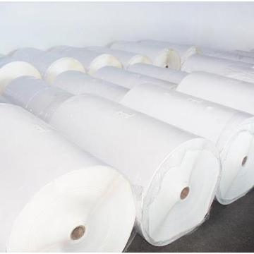 Self Adhesive Paper Thermal Label Jumbo Roll