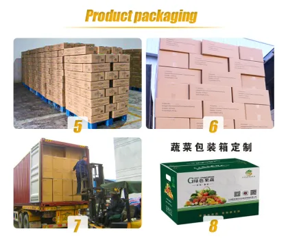 ZunMeiWei: Manufacturer of Vegetable Chips, Snacks, and Fruit Vegetable Snacks Including Pumpkin Crisps