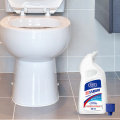 OEM Toilet Cleaning Liquid