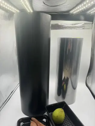 PET fruit tray plastic fruit tray