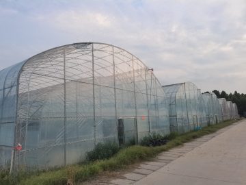 Μονό Υπόστεγο Διπλής Αψίδας