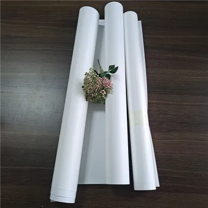 earthfirst pla film environmentally-friendly