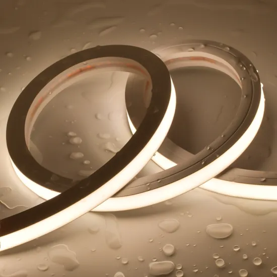 Swimming Pool LED Neon Flex Strip Lights - IP68 Waterproof 24V Underwater LED Strip Light