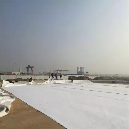 Hot sale 350g m2 non woven geotextiles