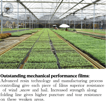 Outstanding Mechanical Performance Films
