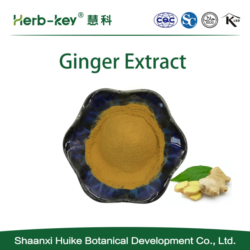 Extracto de jengibre Gingerols Powder5%