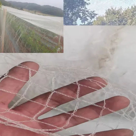Customizable Plastic Anti-Insect Nets for Greenhouses and Gardens