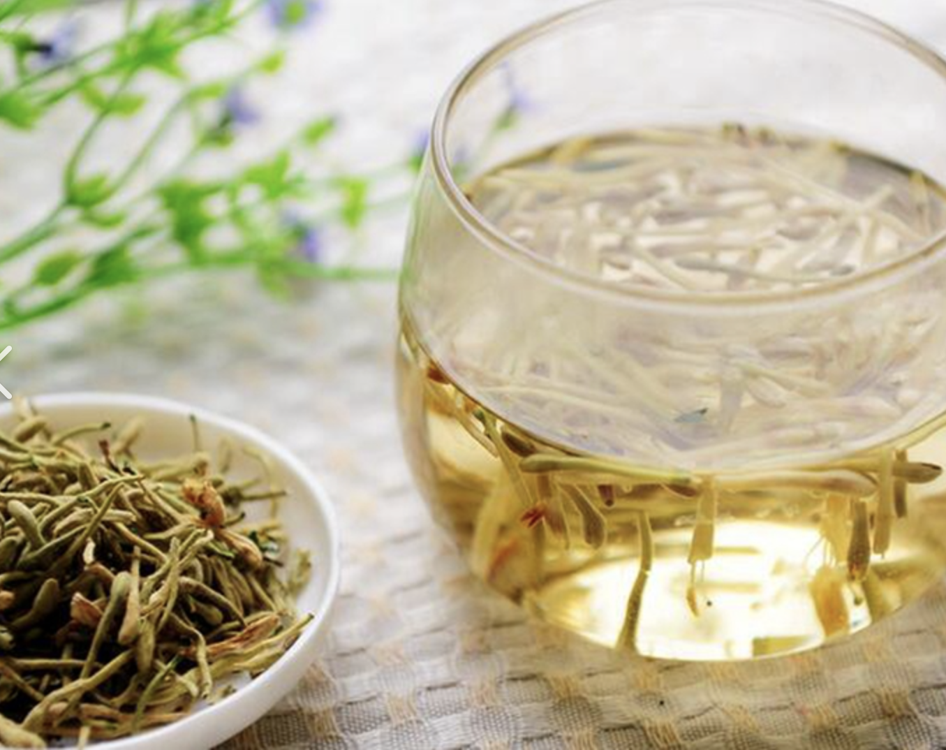 Honeysuckle Extract Powder Supplier