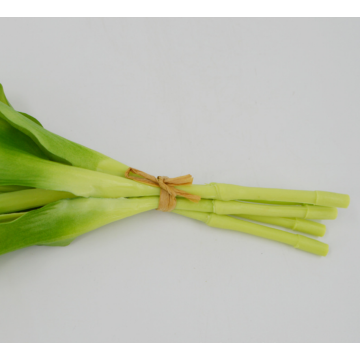 Instalações de fabricação de haste de tulipa de plástico