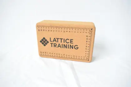 Cork Yoga Blocks Balance Bricks