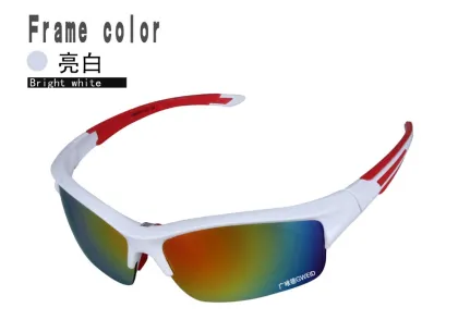 Sport Sunglasses Cycling