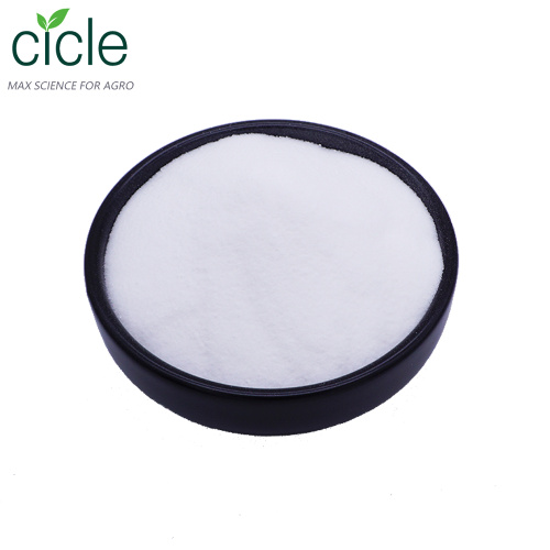 L-Glutamic acid 99% TC Powder