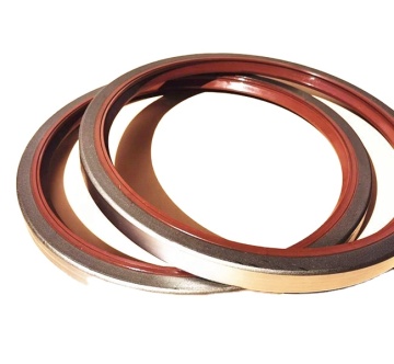 WS-SEALS 260x300x20 FKM+Iron TB SA Oil Seals
