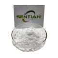 Premium Astragaloside 98% Extract