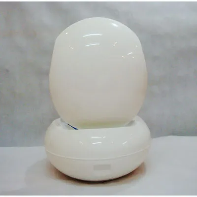 Peter Ghyczy Outdoor/garden Egg Chair