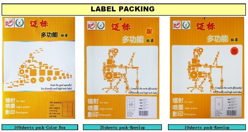 A4 Mailing Labels-St7161