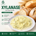 Enzima xilanasa para el procesamiento de alimentos por hidrólisis de fibras vegetales