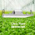 Luz de cultivo LED de color rojo oscuro de 660nm para floración