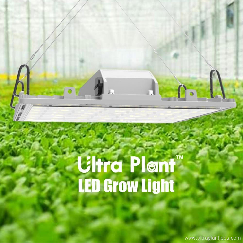 Deep Red 660nm LED Grow Light for Flowering