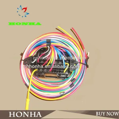 Supply high quality auto wiring harness with fuse holder