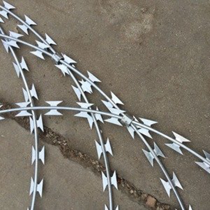 Electro-Galvanized Steel Sheet Razor Barbed Wire