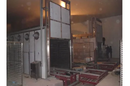 Chinese medicine fungi dryers tunnel hot air oven