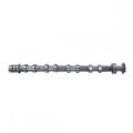 (12626896/636467) OEM GL8(CU4) combined type Camshaft