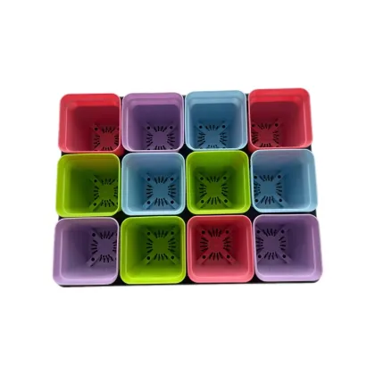 Bulk Nursery Seed Trays with Holes and Dome