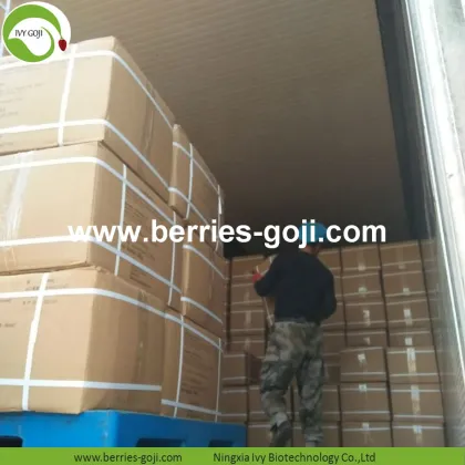 Factory Wholesale Fruit Best Quality Wolfberry