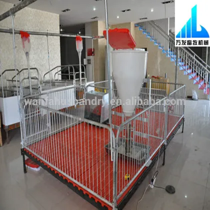top quality automatic pig feeding equipment for sale