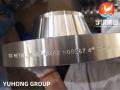 ASTM B462 UNS N08367 Nickel Leghe Wnrf Flange