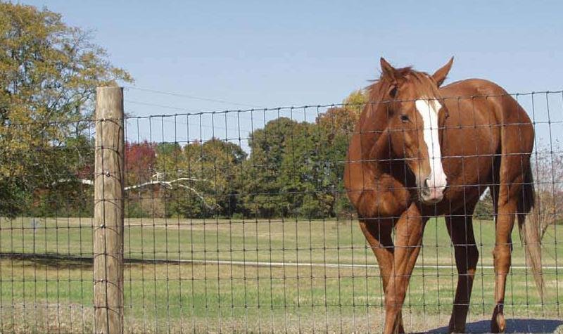 farm guard filed fence fixed knot deer fence