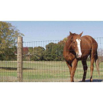 farm guard filed fence fixed knot deer fence