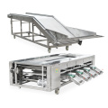 Potato Grading Machine Avocado Sorting Machine