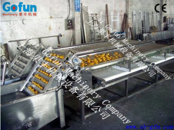 The professional supplier for industrial high quality tomato elevator made in shanghai gofun