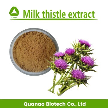 Milk Thistle Extract Powder Silymarin 80% Silibinin 30%