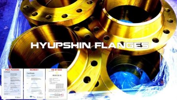 ANSI B16.5 SCH40 WNRF Flange