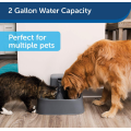 Cat and Dog Drinking Fountain