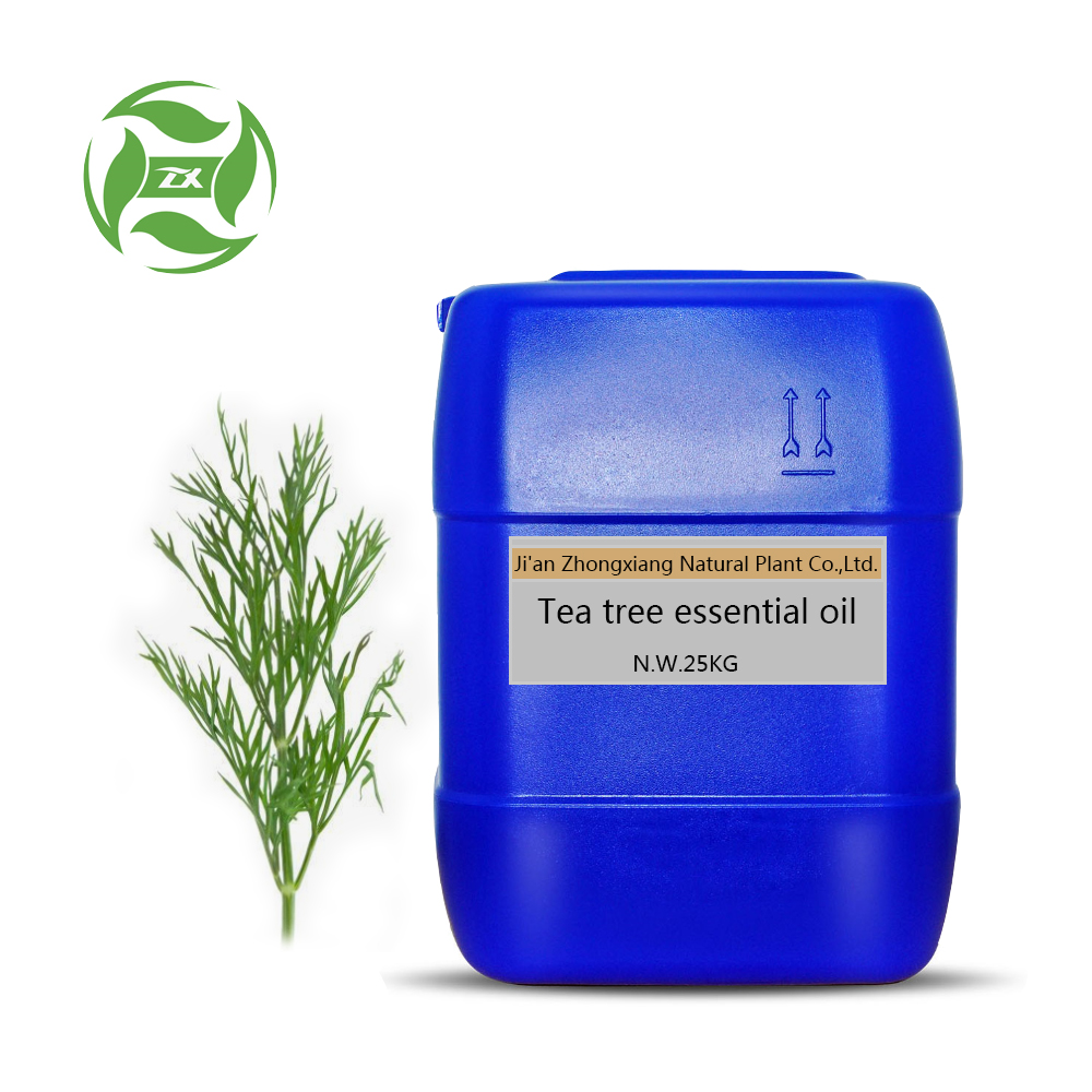 wholesale price organic tea tree oil for cosmetic oil