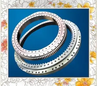 SLEWING BEARING
