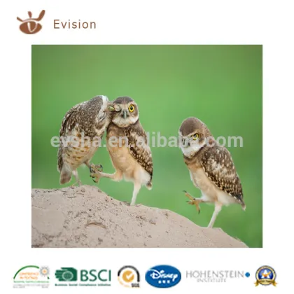 designer home decor warm and sweet scenery little owls digital print lackout curtain
