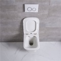 Toilet Seat Assembly Nozzle Ceramic Sanitary All in One RimlessToilet