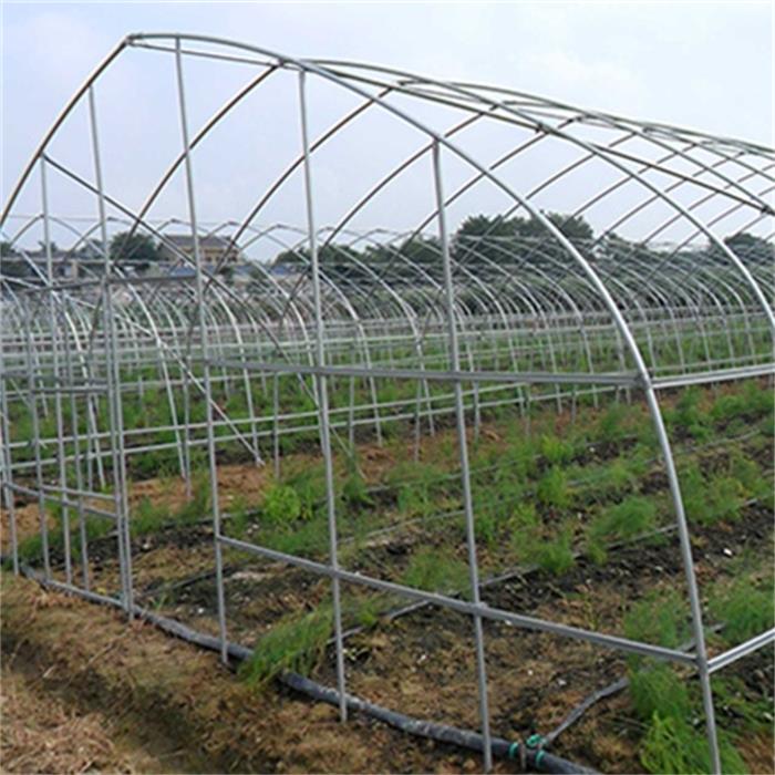 Agriculture Single Tunnel Plastic Film Greenhouse