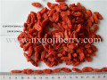 Vendeur de Goji Berry