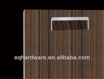Elegant New Design Ribbon Wood Coated Kitchen Furniture Stainless Steel Door