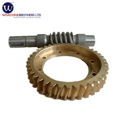 Whachinebrothers Ltd.: Customized Professional PVC Worm Gear for Auto Parts