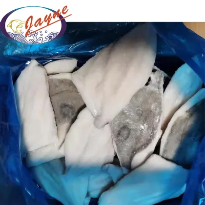 Frozen John Dory Fish Fillet Good Quality Frozen John Dory Fillet On Sale
