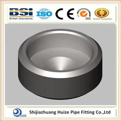 ASME B 16.11 Socket Weld CAP