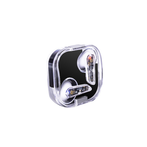 New Private Model Transparent Earplugs 3D